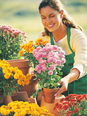 Flower Shops on Chicago Area Flower Shops And Florists