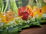 Pin Cushion Protea and Orchids 