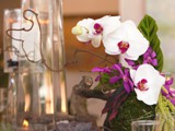 Orchids and Glass 