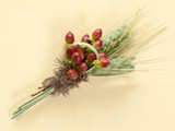 Hypericum Berries Boutonniere 