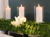 Candles and Orchids 