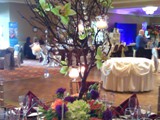 Manzanita with Orchids and Crystals 