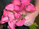 Pink Calla Lilies Bouquet 