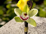Cymbidium Orchid Boutonniere 