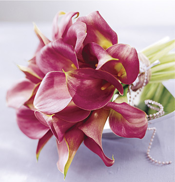 preservadas callas calas mariee calles uts calla preservada uds mariage frescas flors catalunya hortensias ftd projectwedding novias amarillas