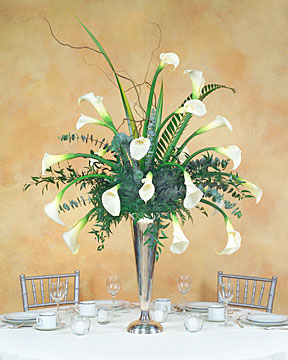 Magnificent Calla Lilies