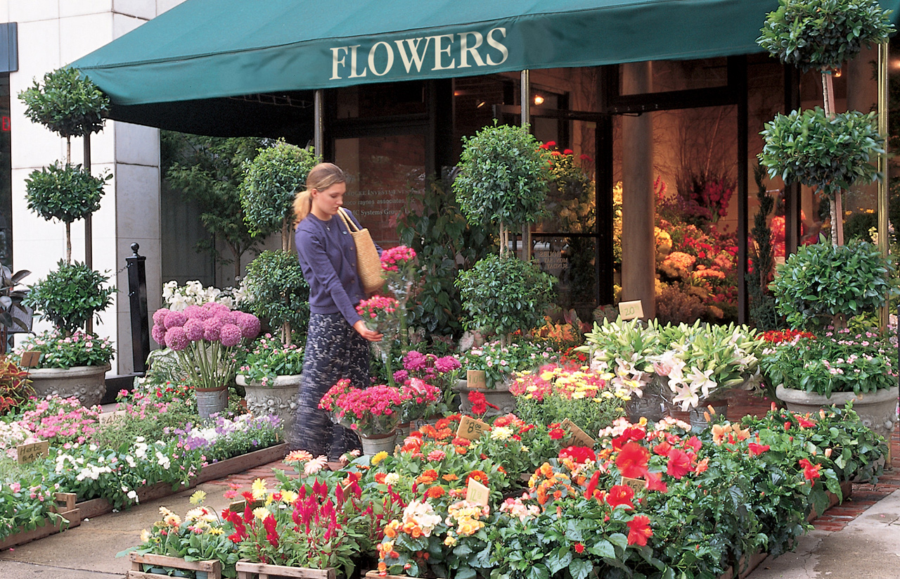 Summery flowers at a flowershop