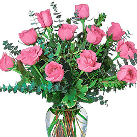 Dozen Pink Roses