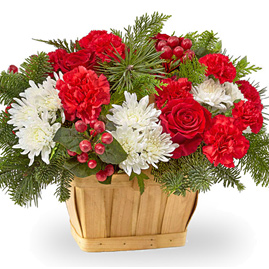 Good Tidings