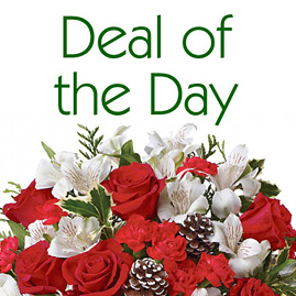 Deal of the Day