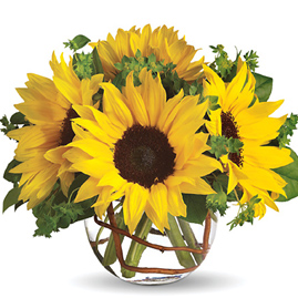 Sunflowers Bowl