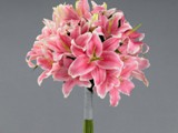 Pink Oriental Lilies Bouquet
