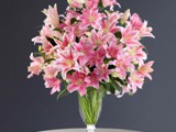 Pink Oriental Lilies Vase