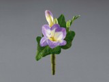 Lavender Freesia Boutonniere