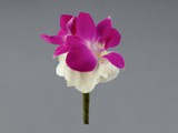 Contemporary Dendrobium Boutonniere