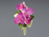 Miniature Orchids Boutonniere