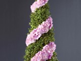 Contemporary Topiary