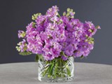 Lavender Stock Centerpiece